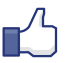 facebook_like_button- resized 5 percent.png