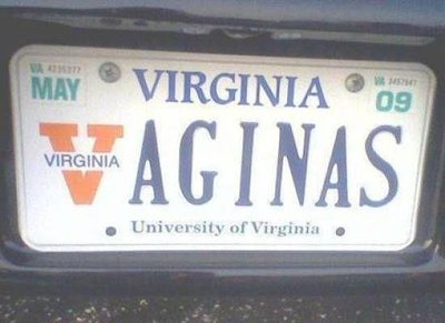 Virginai Vaginas license plate.jpg