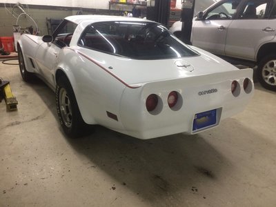 81 Vette - 2.jpg