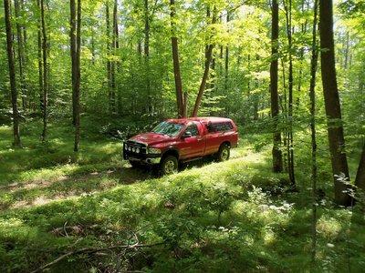 bl-truck2.JPG