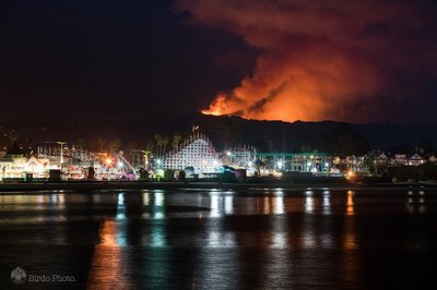 birdo-loma-fire-2-1475009729.jpg (147.24 KiB) Viewed 3310 times birdo-loma-fire-2-1475009729.jpg