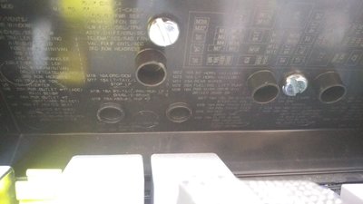 IMAG0403.jpg
