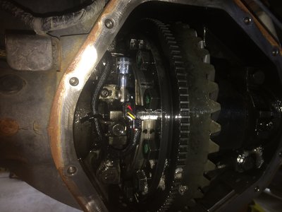 IMG_1280.JPG (1.59 MiB) Viewed 13464 times IMG_1280.JPG