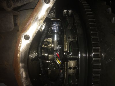 IMG_1281.JPG (1.84 MiB) Viewed 13501 times IMG_1281.JPG