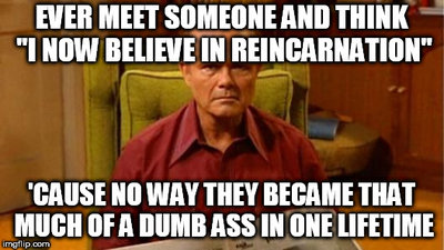 dumb ass.jpg