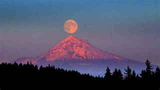 IMG_0628.jpeg