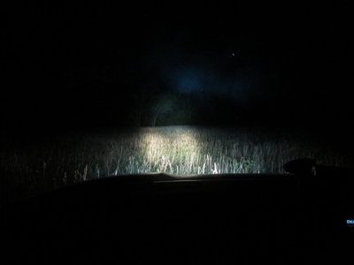 40 inch Rigid LED bar.jpg