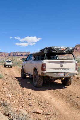 MK309260.jpg