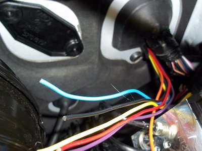 100_1106 resize.jpg