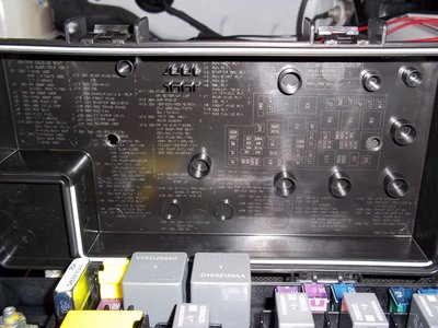 100_1109 resize.jpg