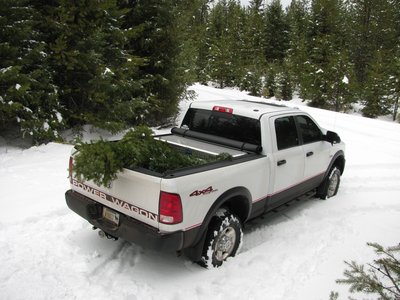 TreeHunt2013.JPG