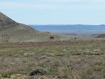 20140502_165738-1.jpg