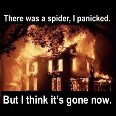 ImageUploadedByTapatalk1403323693.562248.jpg
