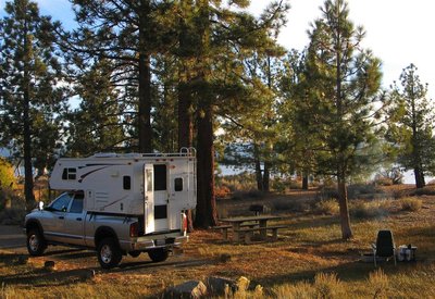 Eddie 2 051_3 (Medium).jpg