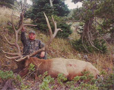 iWyoming Bull.jpg