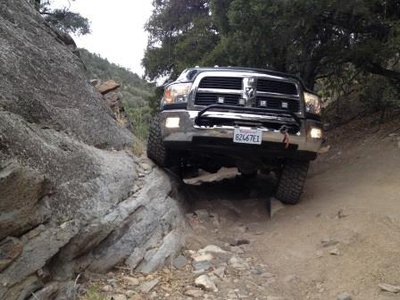 Flex PW Reg.jpg