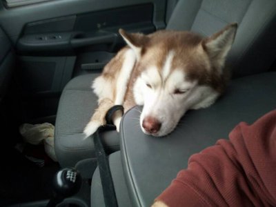uploadfromtaptalk1406902040525.jpg